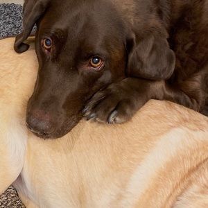 Meet your Posher, Cienna